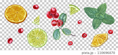 Set of forest berries, citrus and mint branch. Cowberries, lime slices. Watercolor botanical illustration. For the design of invitation, card, greetings, package design 110696870