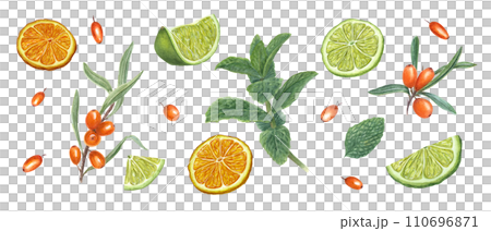Orange, lime slices, sea buckthorn berries. mint leaves. Citrus fruits, forest berries, aromatic herbs. Watercolor botanical illustration. For the design of invitation, package 110696871