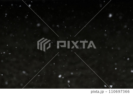 Bokeh of white snow on a black background. Snowfall - design element. Bokeh of white snow on a black background. Snowfall - design element. 110697366