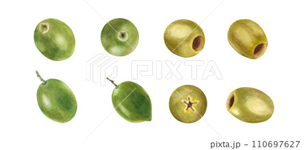 Green and ripe olives set isolated on white background. Watercolor hand drawn botanical illustration. Can be used for menu, product package and food design 110697627