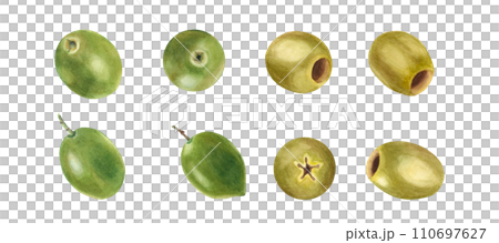 Green and ripe olives set isolated on white background. Watercolor hand drawn botanical illustration. Can be used for menu, product package and food design Green and ripe olives set isolated on white background. Watercolor hand drawn botanical illustration. Can be used for menu, product package and food design 110697627