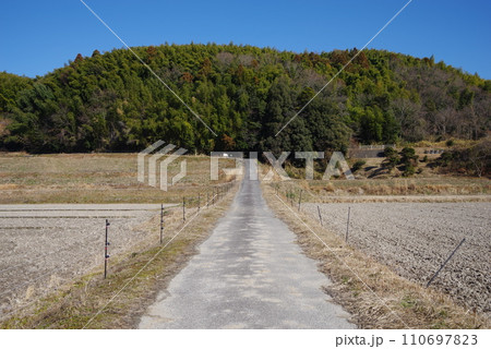 《田舎の風景》田んぼ沿いの真っすぐな道 《田舎の風景》田んぼ沿いの真っすぐな道 110697823