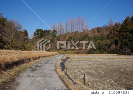 《田舎の風景》田んぼ沿いの田舎道 《田舎の風景》田んぼ沿いの田舎道 110697832
