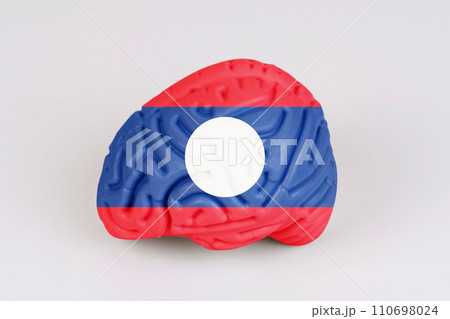 On a white background, a model of the brain with a picture of a flag - Laos 110698024