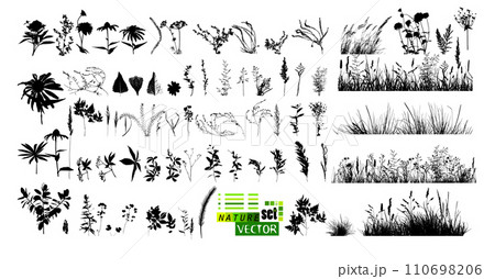 A set of blades of grass. hand drawing. Not AI. Vector illustration 110698206