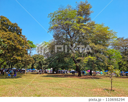 Bosque da Paz Square 110698294