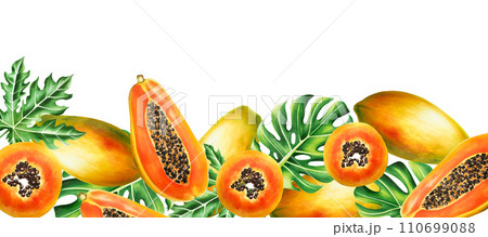 Marker frame, banner, template border with sweet ripe slice of papaya with grains, tropical leafs, monstera in watercolor style. Hand drawn realistic tasty organic illustration of exotic tropical 110699088