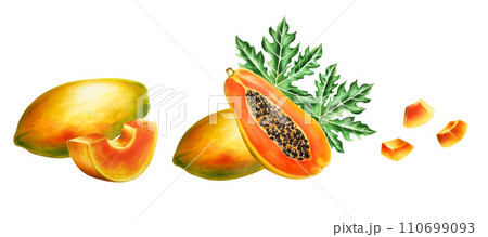 Marker sweet ripe composition with slice, half papaya and tropical leafs in watercolor style. Hand drawn realistic tasty marker illustration of exotic tropical fruit isolated on background. For 110699093