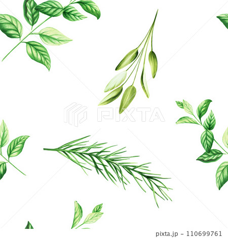 Watercolor seamless pattern with aromatic herbs. Illustrations of fresh rosemary, mint, sage isolated on background. Detail of beauty products and botany set, cosmetology and medicine. For designers, 110699761