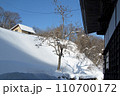 上の家山のと桐の木と大型の家、雪が美しい　福島県只見町 110700172