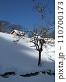 上の家山のと桐の木と大型の家、雪が美しい　福島県只見町 110700173