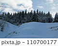 丘の雪と杉の並らびと青空と白い雲が美しい　福島県只見町 110700177