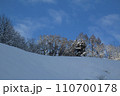 雪と青空の真ん中で樹林が元気を出している　福島県只見町 110700178