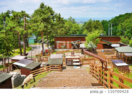 旭山動物園 こども牧場の風景 110700428