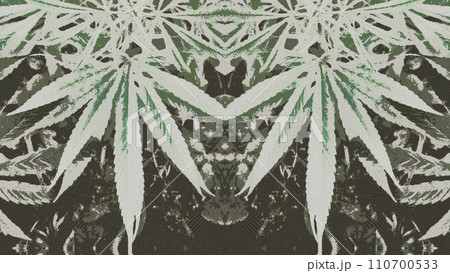 シンメトリーなダブル大麻（cannabis）の緑と黒のイラスト 110700533