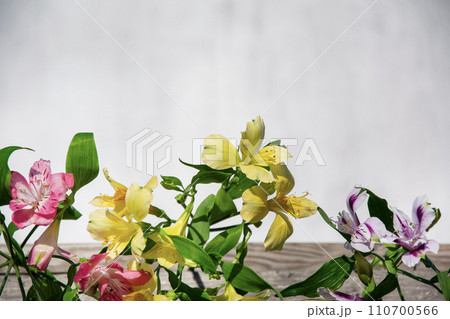 Floral arrangement with delicate Inca lily flowers. Light grunge background, place for text. Floral arrangement with delicate Inca lily flowers. Light grunge background, place for text. 110700566