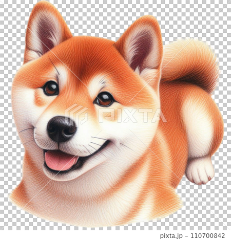 動物 狗 寵物 動物 狗 寵物 110700842