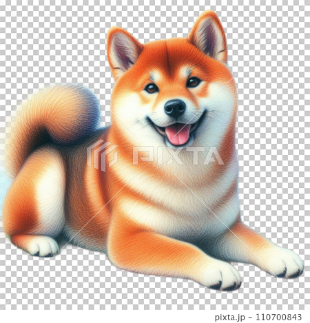 動物 犬 ペット  動物 犬 ペット  110700843