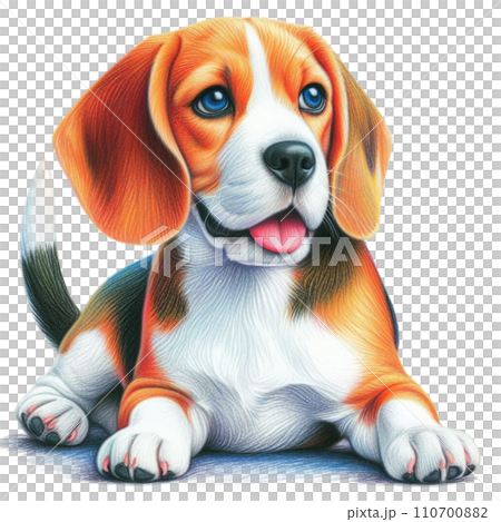 Animal Dog Pet Animal Dog Pet 110700882