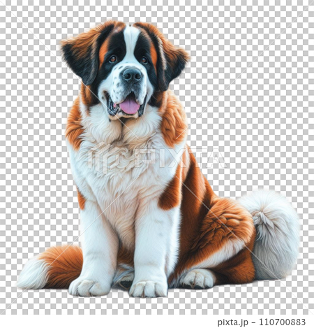 Animal Dog Pet 110700883