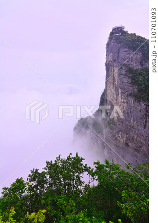 自然 天然 ナチュラル 110701093