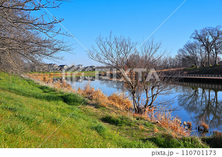 冬景色 びん沼川湖畔の風景 さいたま市側からの眺め 冬景色 びん沼川湖畔の風景 さいたま市側からの眺め 110701173