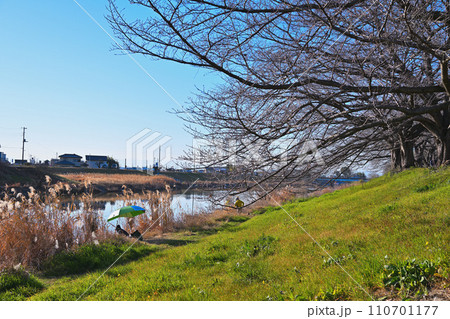 冬景色　びん沼川湖畔の風景　さいたま市側からの眺め 110701177