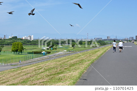 川口散歩・荒川土手 川口市 川口散歩・荒川土手 川口市 110701425