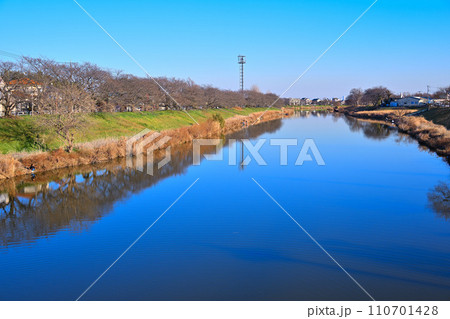 冬のびん沼川の風景 冬景色 船渡橋からの眺め 冬のびん沼川の風景 冬景色 船渡橋からの眺め 110701428