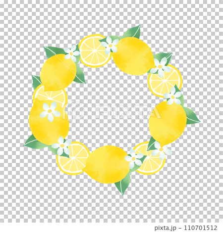 Circular simple lemon illustration Circular simple lemon illustration 110701512