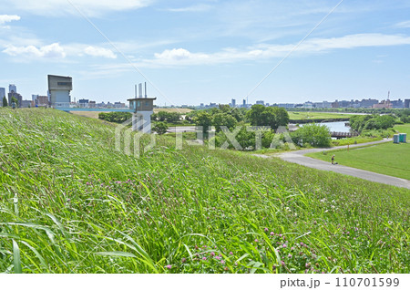 川口散歩・三領水門 荒川土手 川口市 川口散歩・三領水門 荒川土手 川口市 110701599