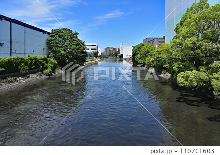 川口散歩・菖蒲川　一級河川　川口市宮町 110701603
