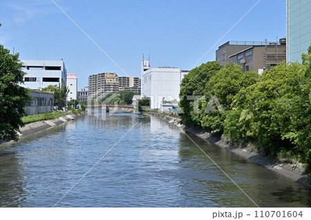 川口散歩・菖蒲川　一級河川　川口市宮町 110701604