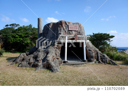 屋久島　宮之浦　ウィルソン株実物大模型 110702089