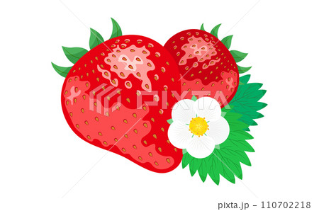 大粒のいちごの果実やイチゴの花・苺の葉のリアルなベクターイラスト 110702218