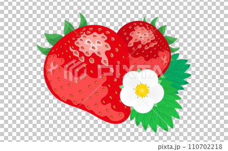 大粒のいちごの果実やイチゴの花・苺の葉のリアルなベクターイラスト 110702218