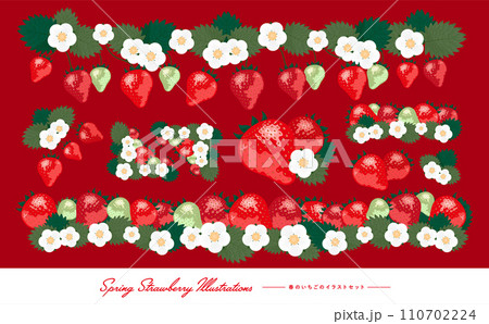 いちごの果実や苺の花・イチゴの葉を描いたベクターフレームとイラストのセット素材 110702224