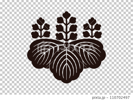 57 paulownia Arima family paulownia (smooth tip tapered version) 110702497