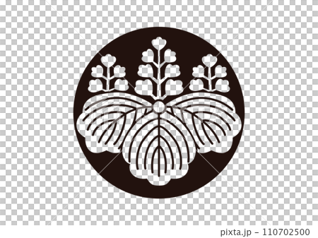 泡桐樹與石持 110702500