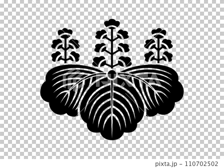 太樹泡桐 太樹泡桐 110702502