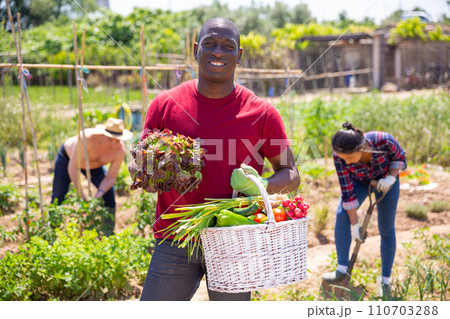 African american man professional gardener posing with harvest African american man professional gardener posing with harvest 110703288