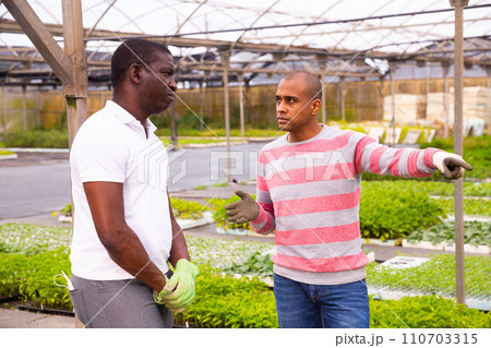 African and Latino men garden workers berating 110703315