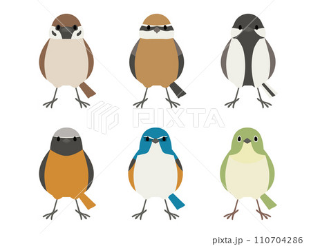 野鳥セット 正面 全身 野鳥セット 正面 全身 110704286