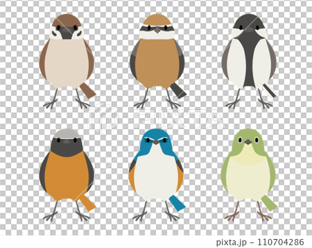 野鳥セット 正面 全身 野鳥セット 正面 全身 110704286