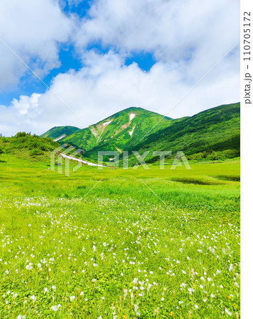 夏の火打山登山(天狗の庭) 夏の火打山登山(天狗の庭) 110705172