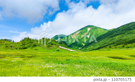 夏の火打山登山（天狗の庭） 110705175