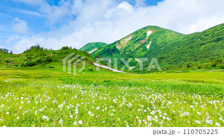 夏の火打山登山（天狗の庭：火打山とワタスゲの群落） 110705225