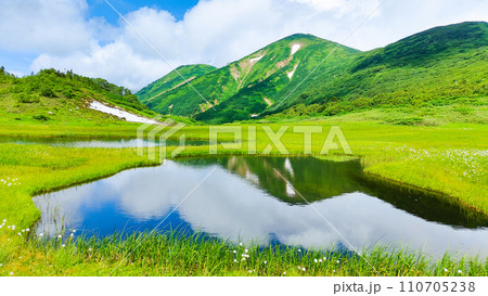 夏の火打山登山（天狗の庭） 110705238