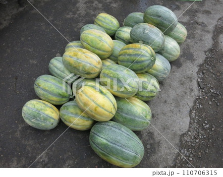 中央アジアのスイカ 110706315