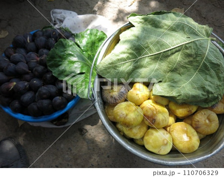 中央アジアのイチジク 110706329